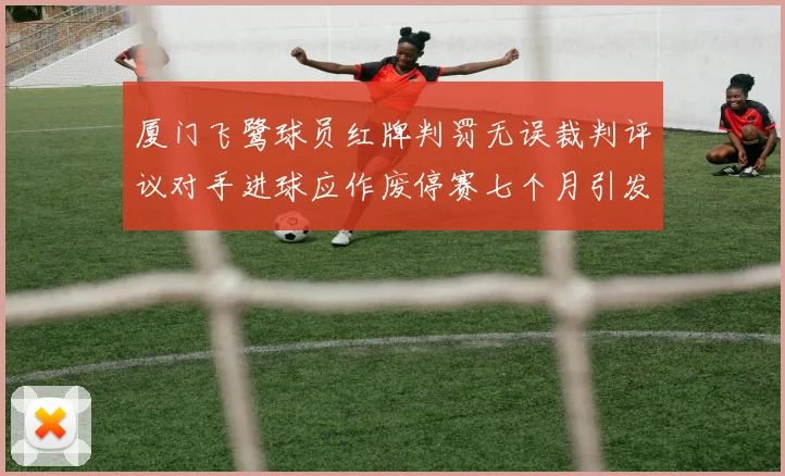 厦门飞鹭球员红牌判罚无误裁判评议对手进球应作废停赛七个月引发热议