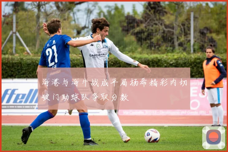 海港与海牛战成平局杨希精彩内切破门助球队争取分数